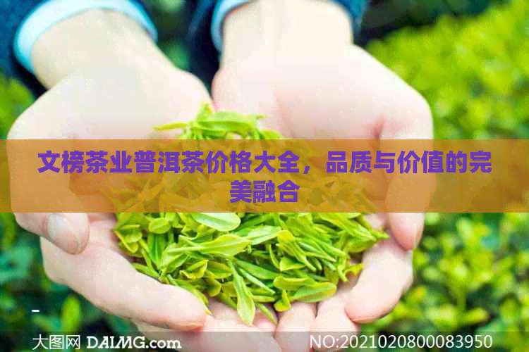 文榜茶业普洱茶价格大全，品质与价值的完美融合