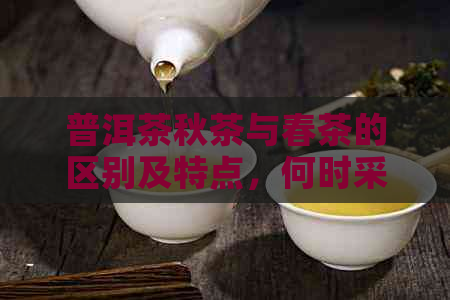 普洱茶秋茶与春茶的区别及特点，何时采摘？是否具有收藏价值？