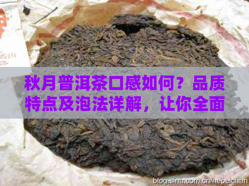 秋月普洱茶口感如何？品质特点及泡法详解，让你全面了解这款茶叶的魅力