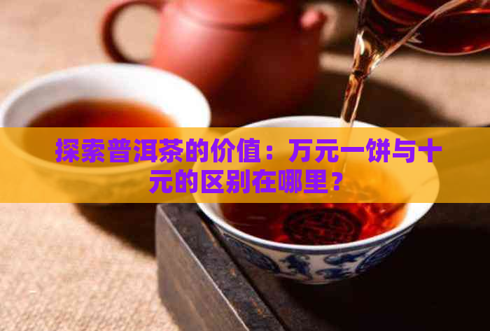  探索普洱茶的价值：万元一饼与十元的区别在哪里？