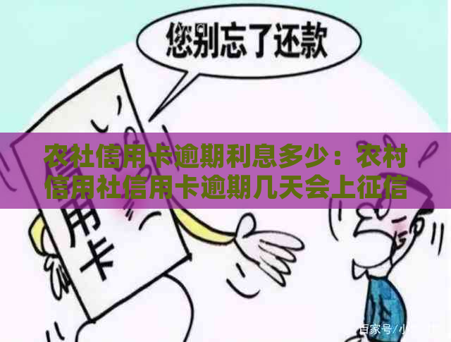 农社信用卡逾期利息多少：农村信用社信用卡逾期几天会上吗？