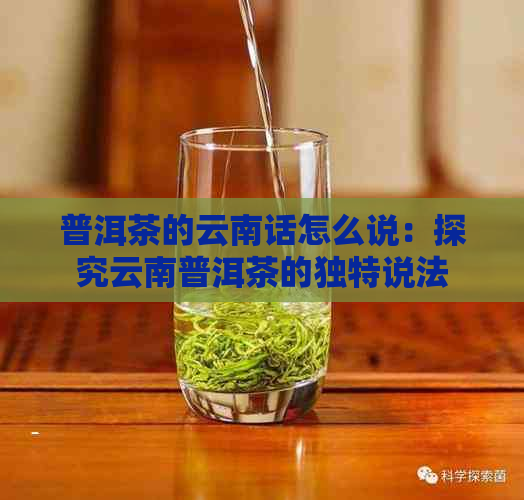 普洱茶的云南话怎么说：探究云南普洱茶的独特说法