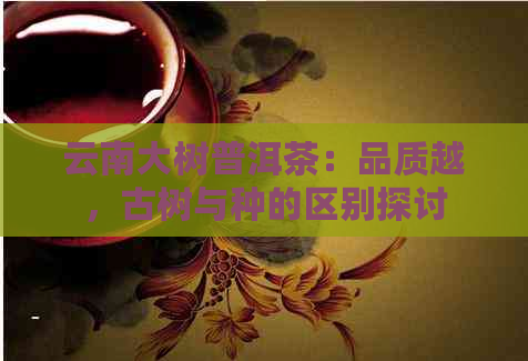 云南大树普洱茶：品质越，古树与种的区别探讨