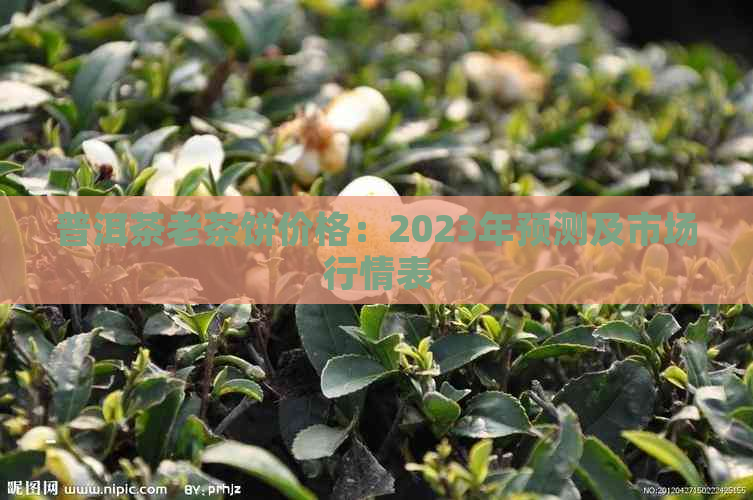 普洱茶老茶饼价格：2023年预测及市场行情表