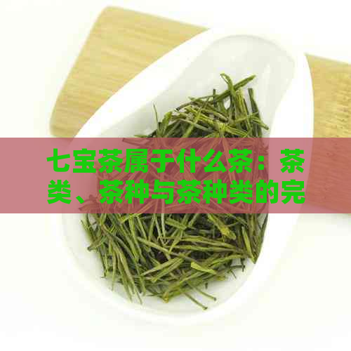 七宝茶属于什么茶：茶类、茶种与茶种类的完整解析，以及其功效和用途