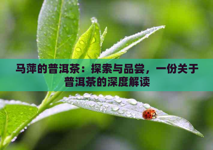 马萍的普洱茶：探索与品尝，一份关于普洱茶的深度解读