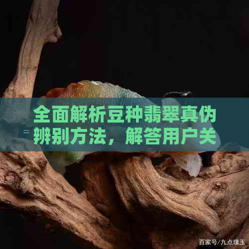 全面解析豆种翡翠真伪辨别方法，解答用户关于豆种翡翠的疑问与困惑