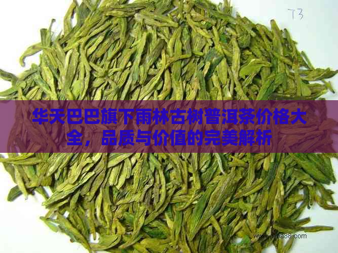 华天巴巴旗下雨林古树普洱茶价格大全，品质与价值的完美解析