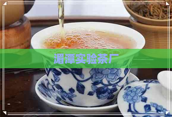 湄潭实验茶厂