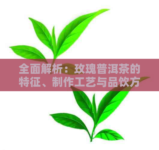 全面解析：玫瑰普洱茶的特征、制作工艺与品饮方法，了解这款茶的所有秘密！