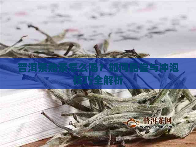 普洱茶熟茶怎么喝？如何品尝与冲泡技巧全解析