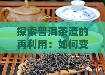 探索普洱茶渣的再利用：如何变废为宝？