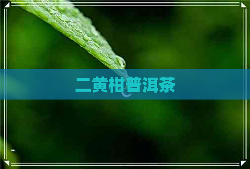 二黄柑普洱茶