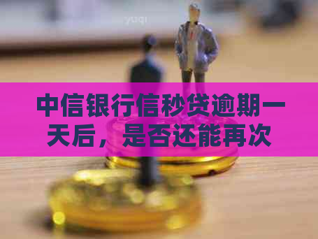 中信银行信秒贷逾期一天后，是否还能再次申请贷款？最新资讯解析