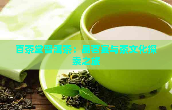 百茶堂普洱茶：品茗宴与茶文化探索之旅