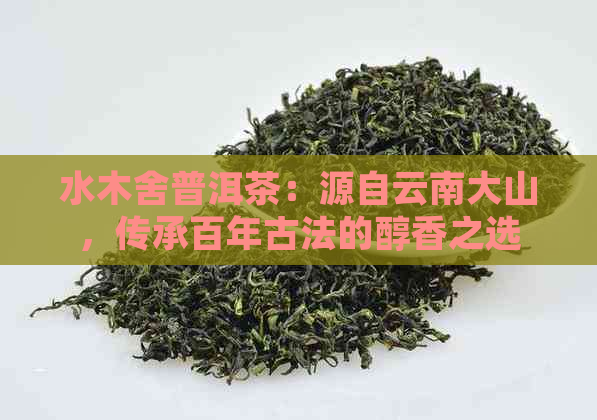 水木舍普洱茶：源自云南大山，传承百年古法的醇香之选