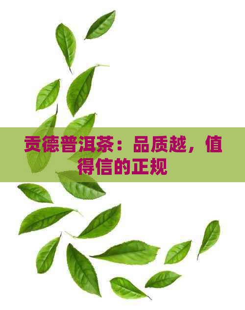 贡德普洱茶：品质越，值得信的正规