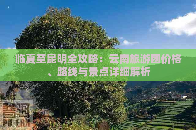 临夏至昆明全攻略：云南旅游团价格、路线与景点详细解析