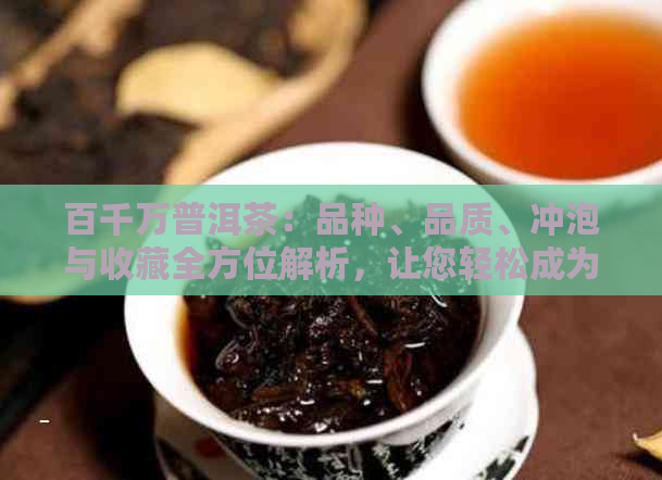 百千万普洱茶：品种、品质、冲泡与收藏全方位解析，让您轻松成为普洱茶行家