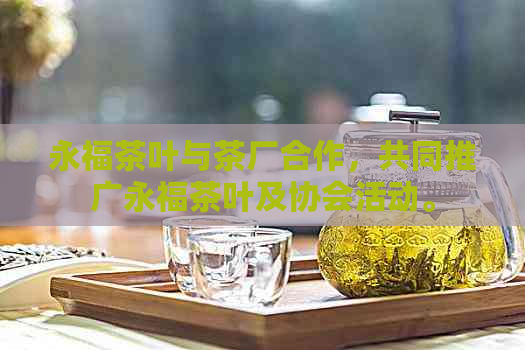 永福茶叶与茶厂合作，共同推广永福茶叶及协会活动。