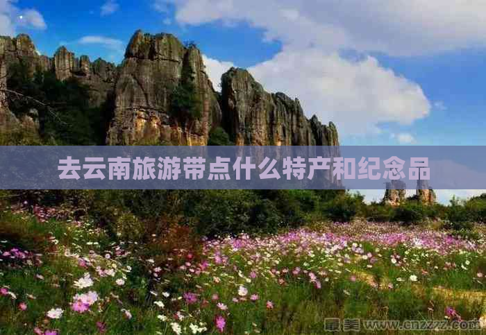 去云南旅游带点什么特产和纪念品