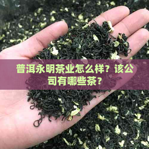 普洱永明茶业怎么样？该公司有哪些茶？