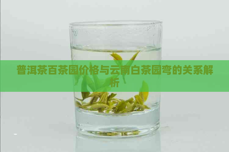 普洱茶百茶园价格与云南白茶园弯的关系解析