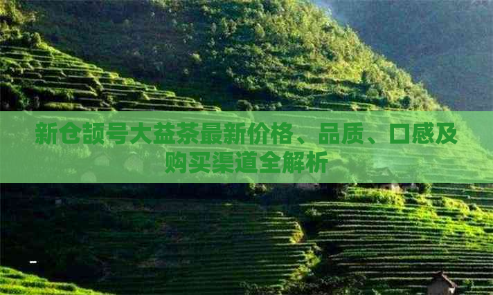 新仓颉号大益茶最新价格、品质、口感及购买渠道全解析