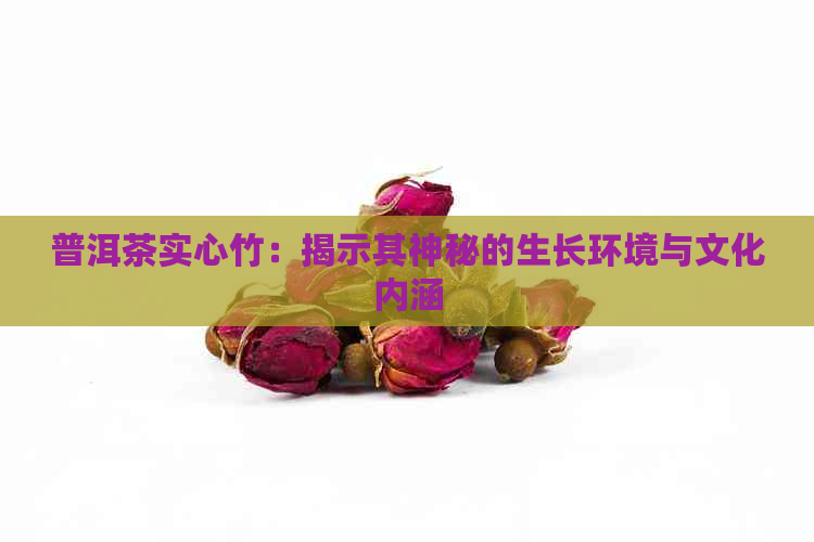 普洱茶实心竹：揭示其神秘的生长环境与文化内涵