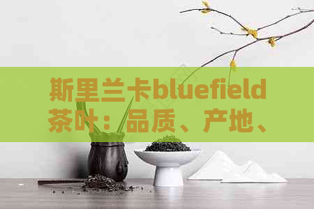 斯里兰卡bluefield茶叶：品质、产地、冲泡方法与口感全解析