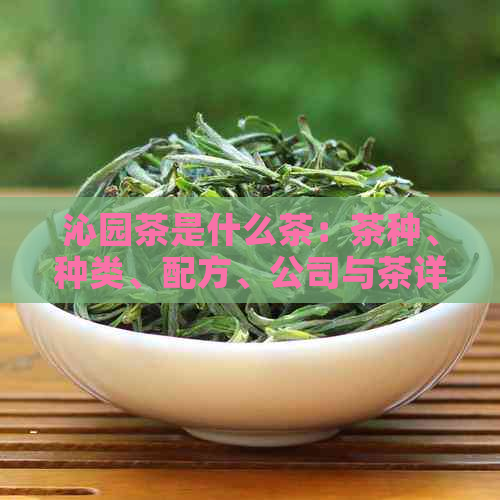 沁园茶是什么茶：茶种、种类、配方、公司与茶详解