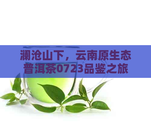 澜沧山下，云南原生态普洱茶0723品鉴之旅