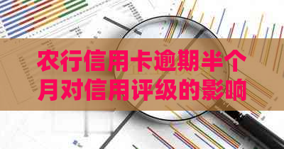 农行信用卡逾期半个月对信用评级的影响及相关额度调整探讨