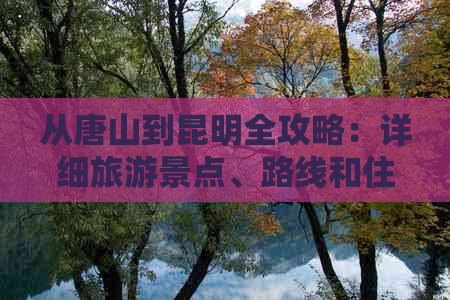 从唐山到昆明全攻略：详细旅游景点、路线和住宿指南，让你畅游滇桂大地