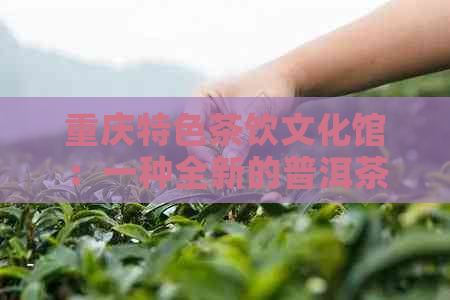 重庆特色茶饮文化馆：一种全新的普洱茶体验