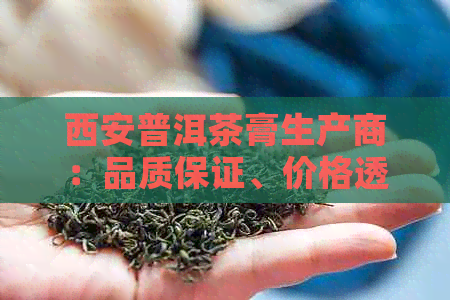 西安普洱茶膏生产商：品质保证、价格透明及多样化选择的全方位指南