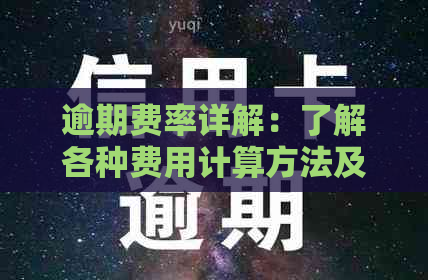 逾期费率详解：了解各种费用计算方法及影响因素，避免不必要的损失