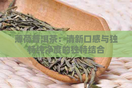 薄荷普洱茶：清新口感与独特纯净度的独特结合