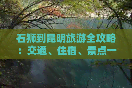 石狮到昆明旅游全攻略：交通、住宿、景点一应俱全，让你轻松玩转滇池之旅