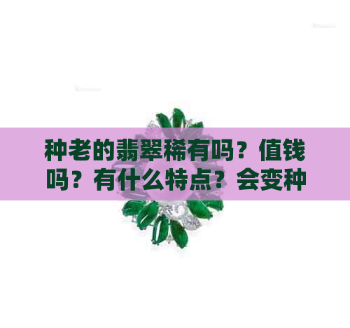 种老的翡翠稀有吗？值钱吗？有什么特点？会变种吗？种老的翡翠好吗？