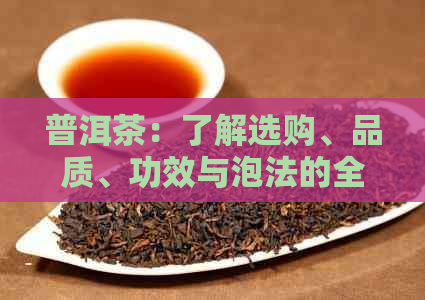 普洱茶：了解选购、品质、功效与泡法的全方位指南