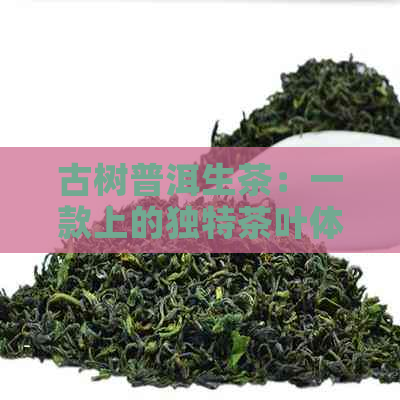 古树普洱生茶：一款上的独特茶叶体验