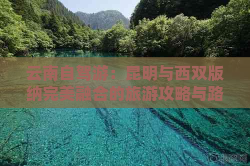 云南自驾游：昆明与西双版纳完美融合的旅游攻略与路线