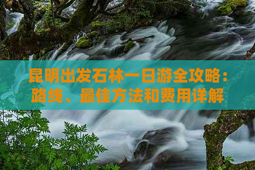 昆明出发石林一日游全攻略：路线、更佳方法和费用详解