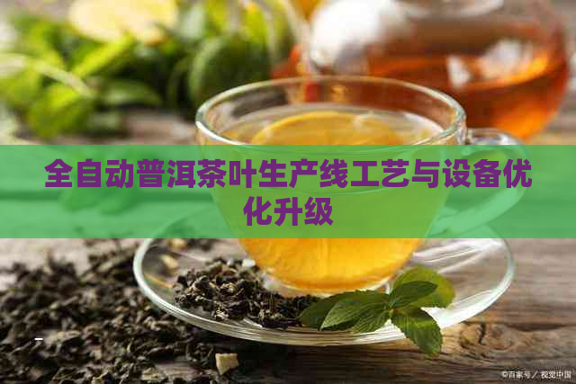 全自动普洱茶叶生产线工艺与设备优化升级