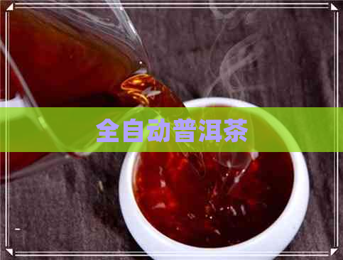 全自动普洱茶