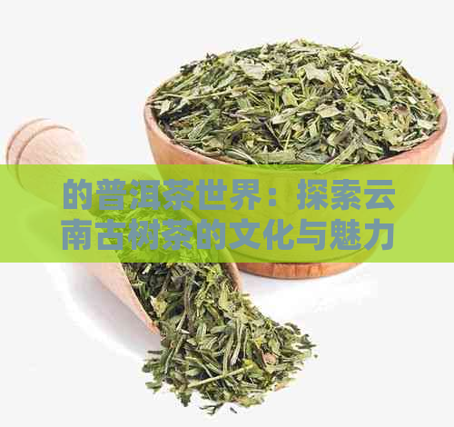 的普洱茶世界：探索云南古树茶的文化与魅力