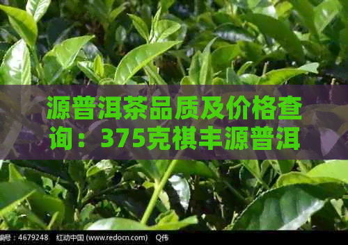 源普洱茶品质及价格查询：375克祺丰源普洱茶售价与口感评价