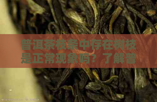 普洱茶枝条中存在树枝是正常现象吗？了解普洱茶杆子的相关知识。