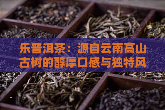 乐普洱茶：源自云南高山古树的醇厚口感与独特风味